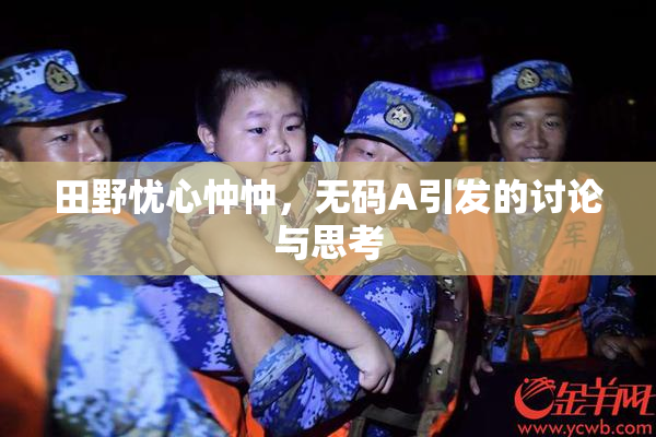 田野忧心忡忡，无码A引发的讨论与思考