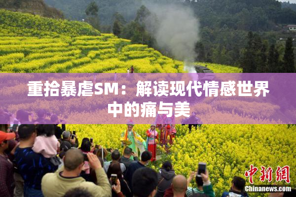 重拾暴虐SM：解读现代情感世界中的痛与美