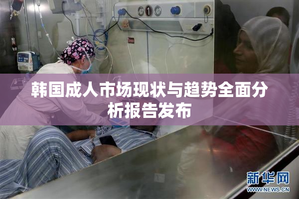 韩国成人市场现状与趋势全面分析报告发布