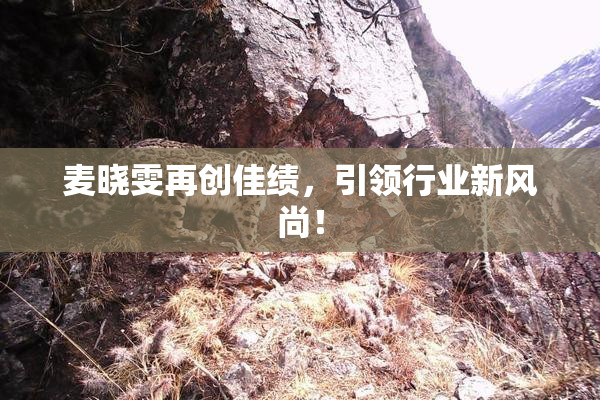 麦晓雯再创佳绩，引领行业新风尚！