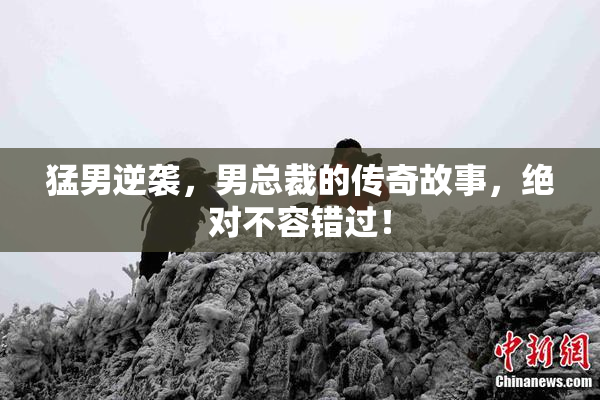 猛男逆袭，男总裁的传奇故事，绝对不容错过！