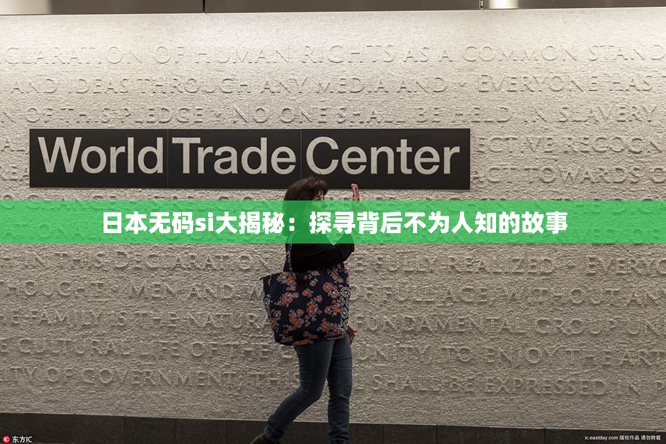 日本无码si大揭秘：探寻背后不为人知的故事