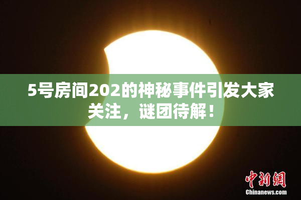 5号房间202的神秘事件引发大家关注，谜团待解！
