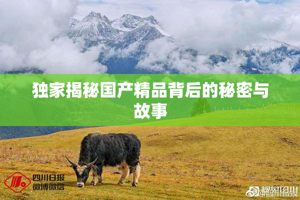 独家揭秘国产精品背后的秘密与故事