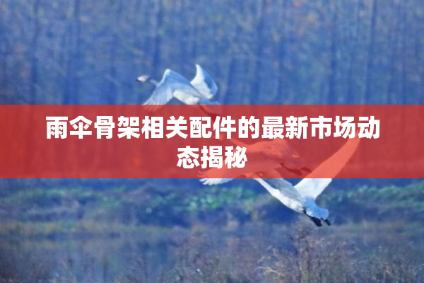 雨伞骨架相关配件的最新市场动态揭秘