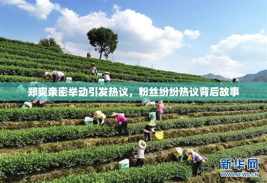 郑爽亲密举动引发热议，粉丝纷纷热议背后故事