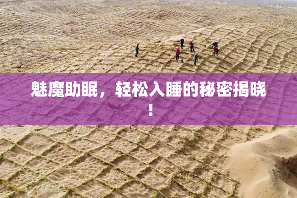 魅魔助眠，轻松入睡的秘密揭晓！