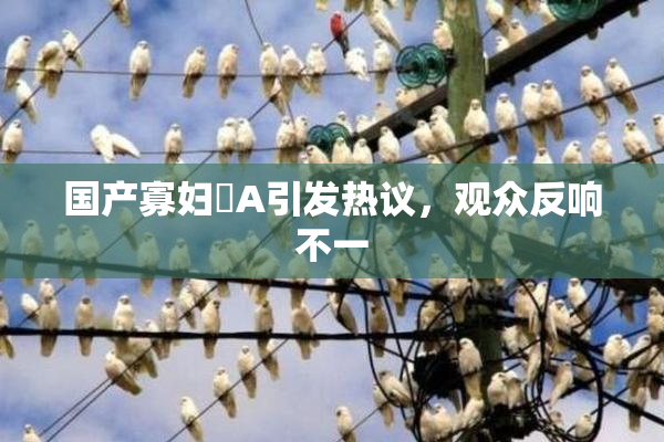 国产寡妇婬A引发热议，观众反响不一