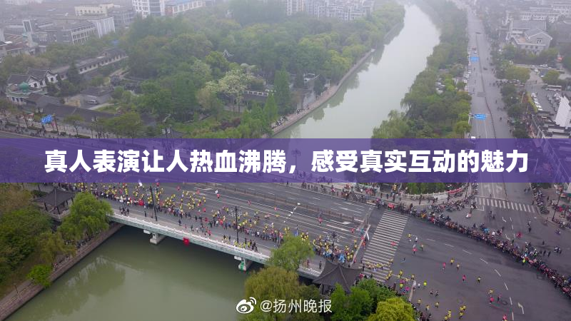真人表演让人热血沸腾，感受真实互动的魅力