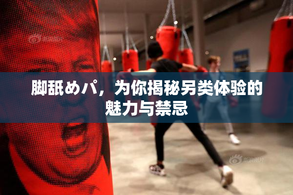脚舐めパ，为你揭秘另类体验的魅力与禁忌