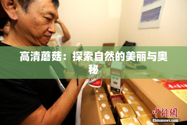 高清蘑菇：探索自然的美丽与奥秘