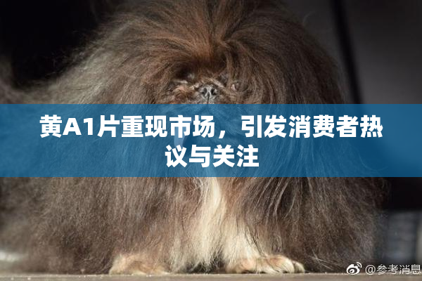 黄A1片重现市场，引发消费者热议与关注