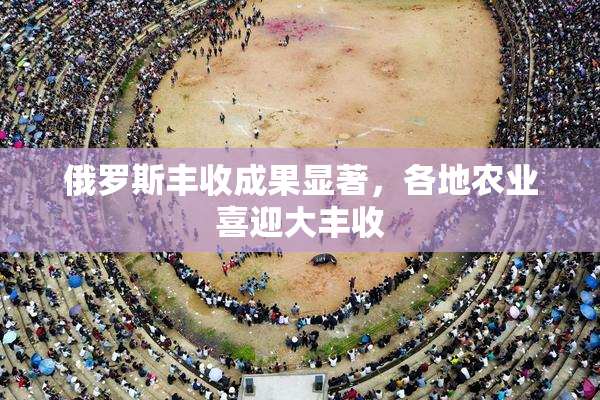 俄罗斯丰收成果显著，各地农业喜迎大丰收