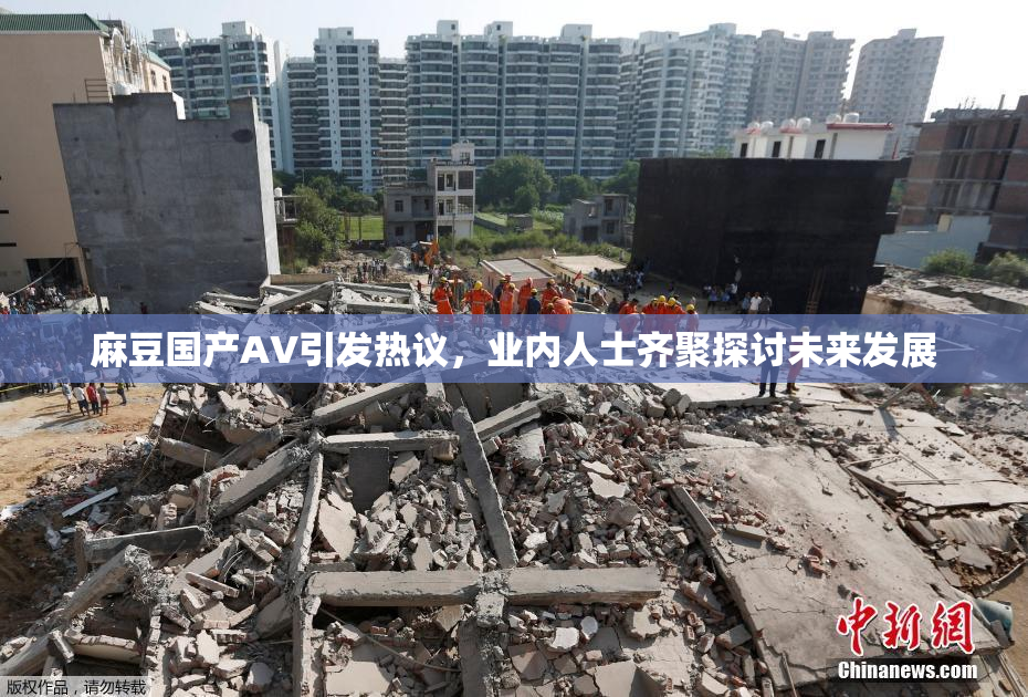 麻豆国产AV引发热议，业内人士齐聚探讨未来发展