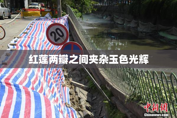 红莲两瓣之间夹杂玉色光辉