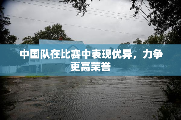 中国队在比赛中表现优异，力争更高荣誉