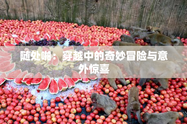 随处啪：穿越中的奇妙冒险与意外惊喜