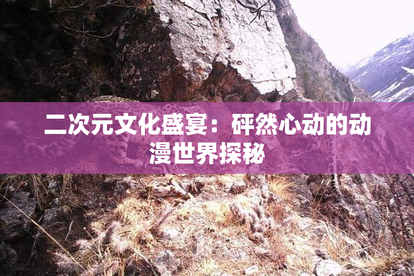 二次元文化盛宴：砰然心动的动漫世界探秘