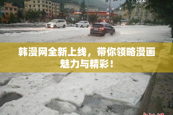 韩漫网全新上线，带你领略漫画魅力与精彩！