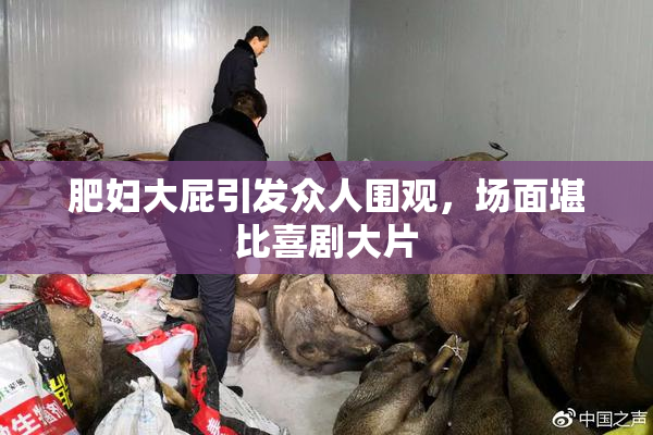 肥妇大屁引发众人围观，场面堪比喜剧大片
