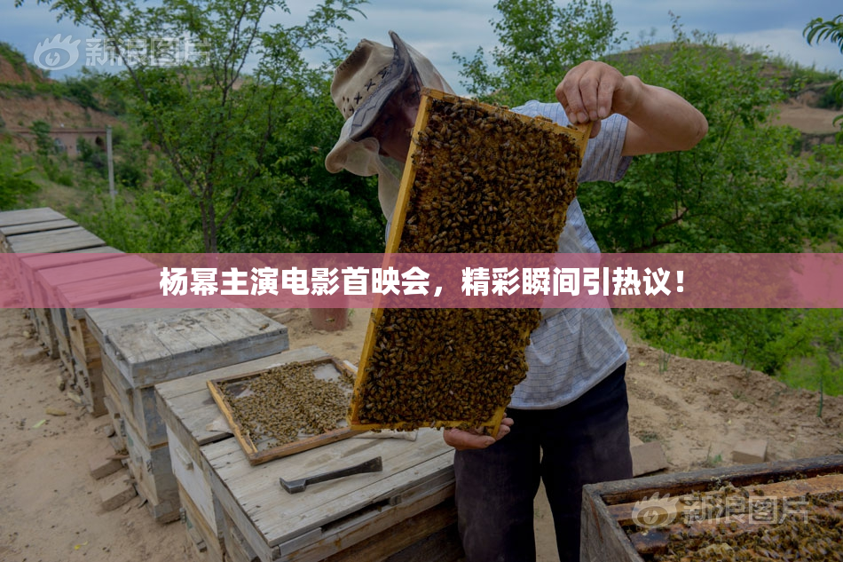 杨幂主演电影首映会，精彩瞬间引热议！
