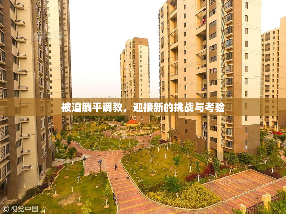 被迫躺平调教，迎接新的挑战与考验