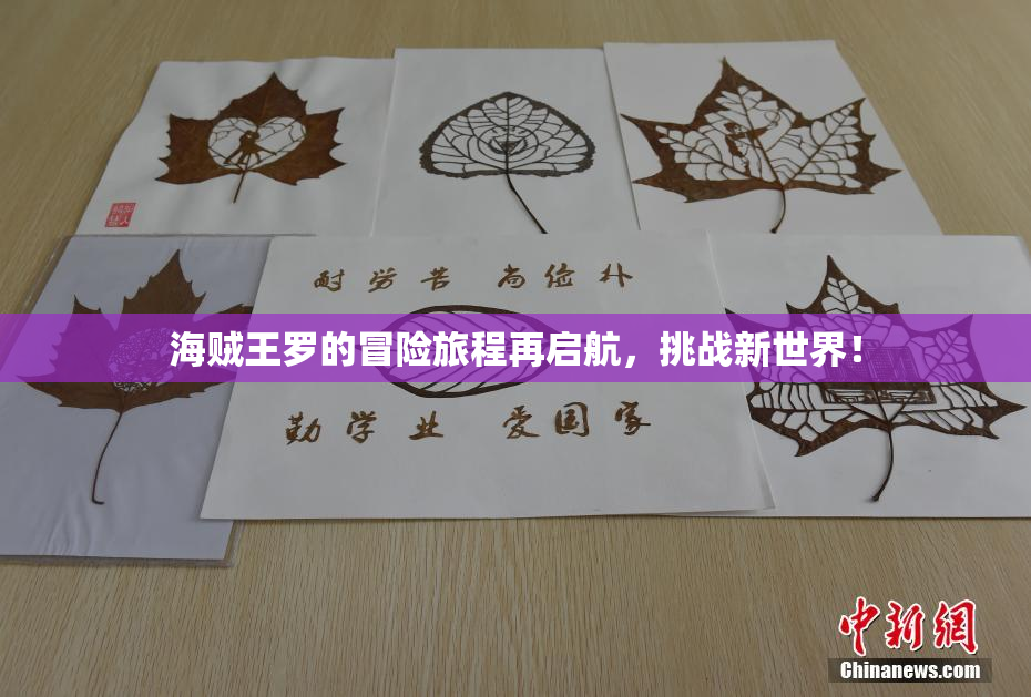 海贼王罗的冒险旅程再启航，挑战新世界！