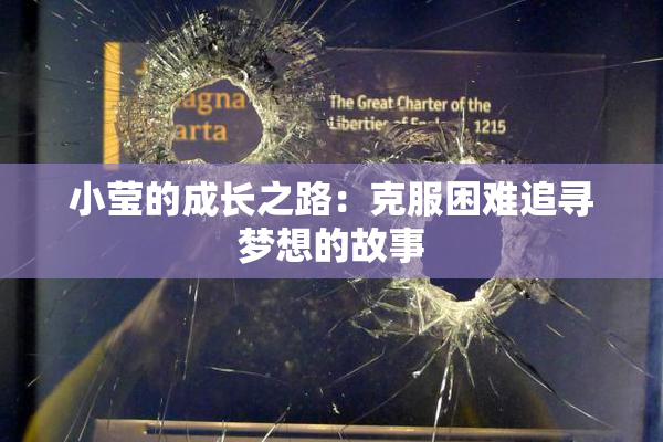 小莹的成长之路：克服困难追寻梦想的故事