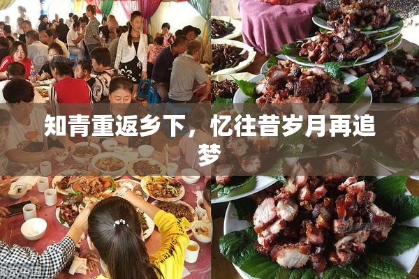 知青重返乡下，忆往昔岁月再追梦