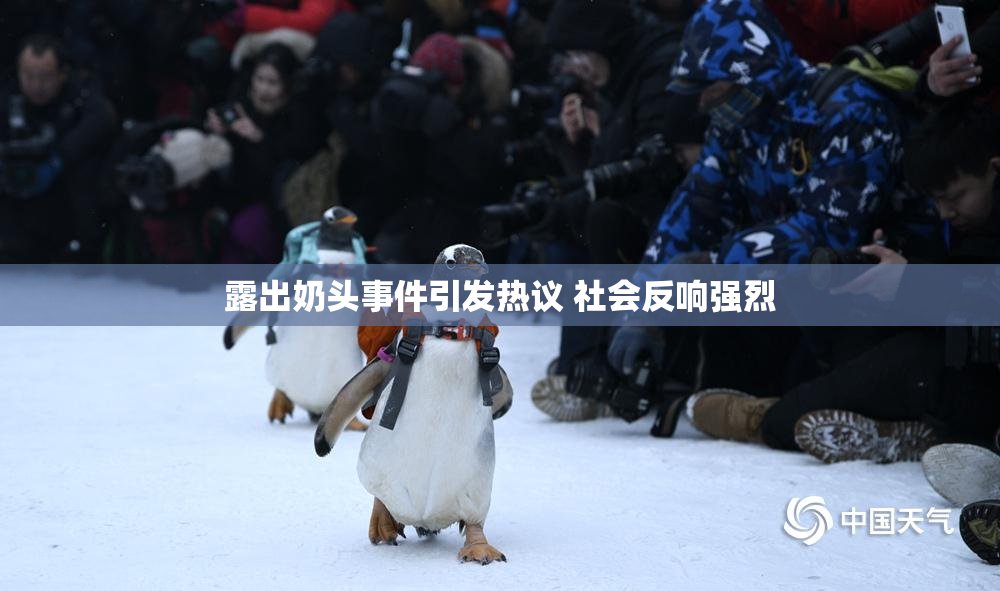 露出奶头事件引发热议 社会反响强烈