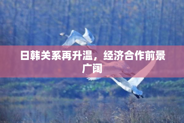 日韩关系再升温，经济合作前景广阔