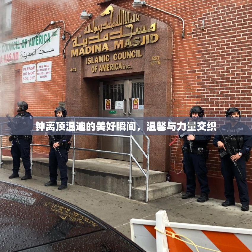 钟离顶温迪的美好瞬间，温馨与力量交织