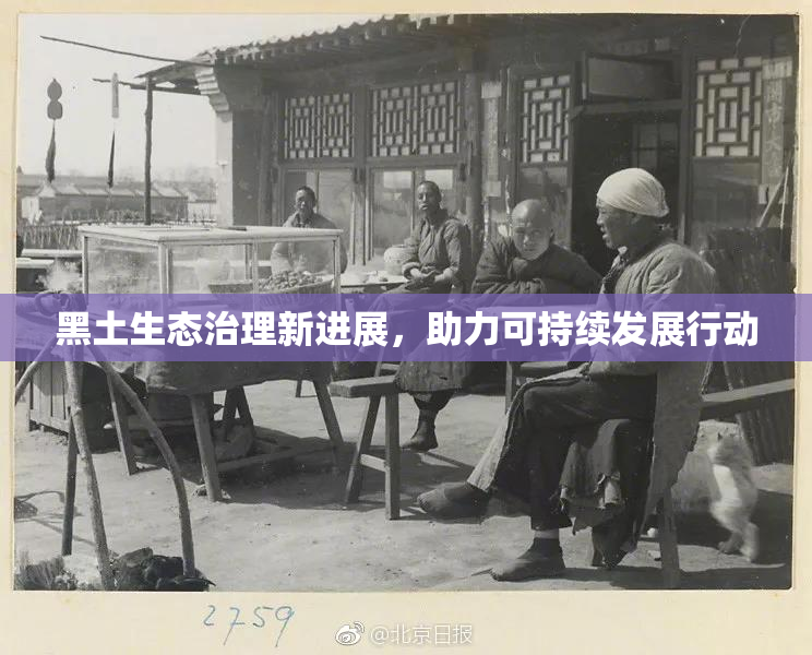黑土生态治理新进展，助力可持续发展行动
