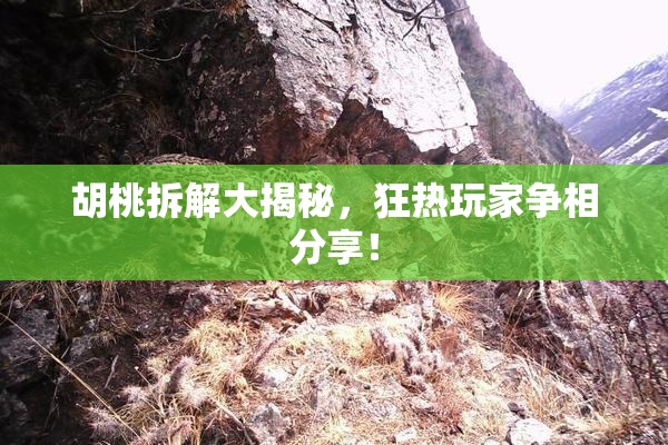 胡桃拆解大揭秘，狂热玩家争相分享！