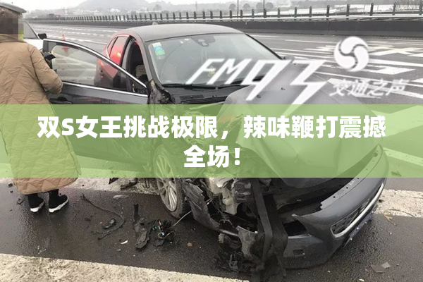 双S女王挑战极限，辣味鞭打震撼全场！