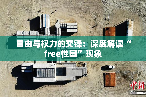 自由与权力的交锋：深度解读“free性国”现象