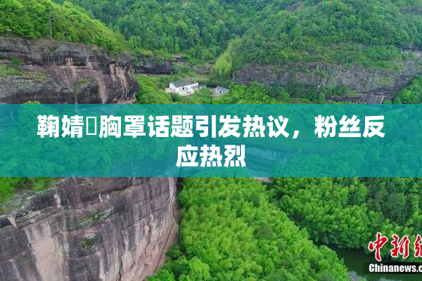 鞠婧祎胸罩话题引发热议，粉丝反应热烈