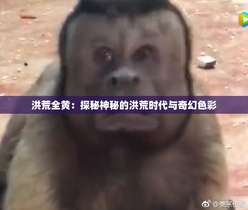 洪荒全黄：探秘神秘的洪荒时代与奇幻色彩