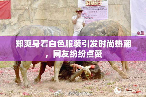 郑爽身着白色服装引发时尚热潮，网友纷纷点赞