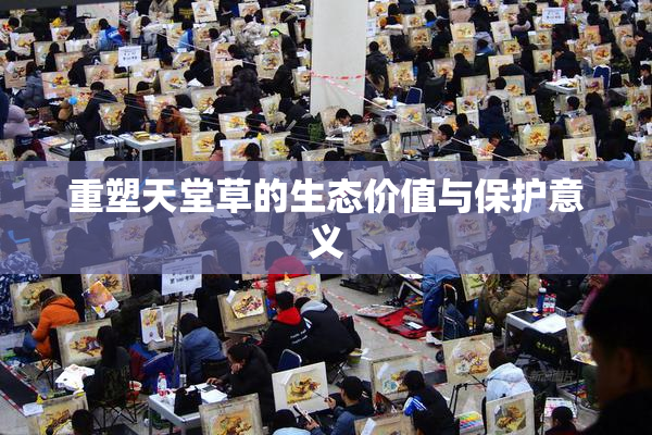 重塑天堂草的生态价值与保护意义