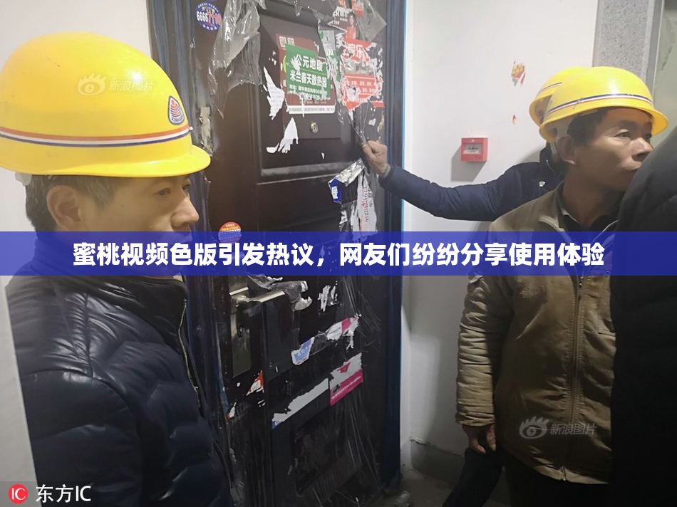 蜜桃视频色版引发热议，网友们纷纷分享使用体验