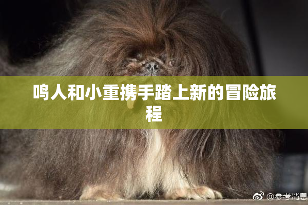 鸣人和小重携手踏上新的冒险旅程