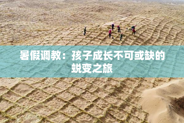 暑假调教：孩子成长不可或缺的蜕变之旅