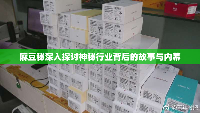 麻豆秘深入探讨神秘行业背后的故事与内幕