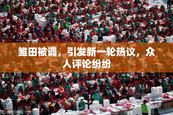 雏田被调，引发新一轮热议，众人评论纷纷