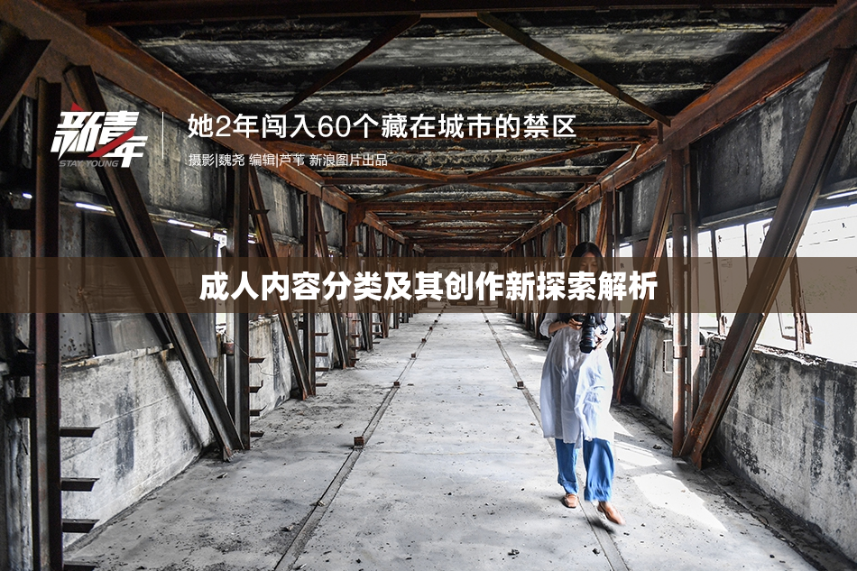 成人内容分类及其创作新探索解析