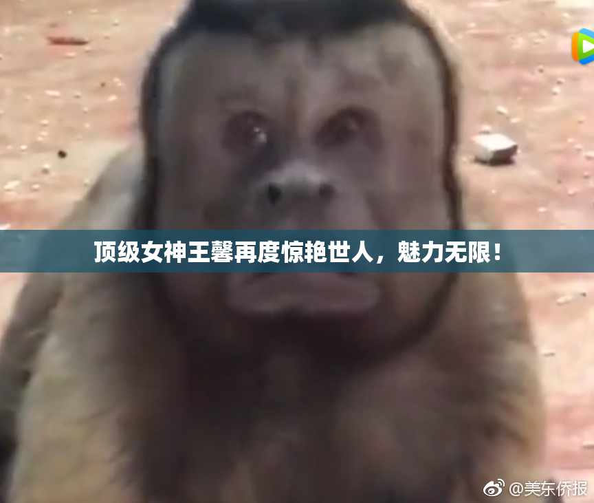 顶级女神王馨再度惊艳世人，魅力无限！