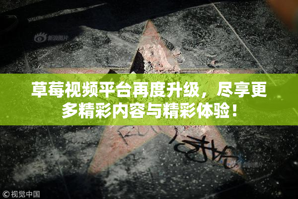 草莓视频平台再度升级，尽享更多精彩内容与精彩体验！