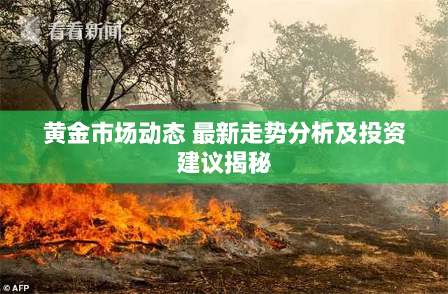 黄金市场动态 最新走势分析及投资建议揭秘