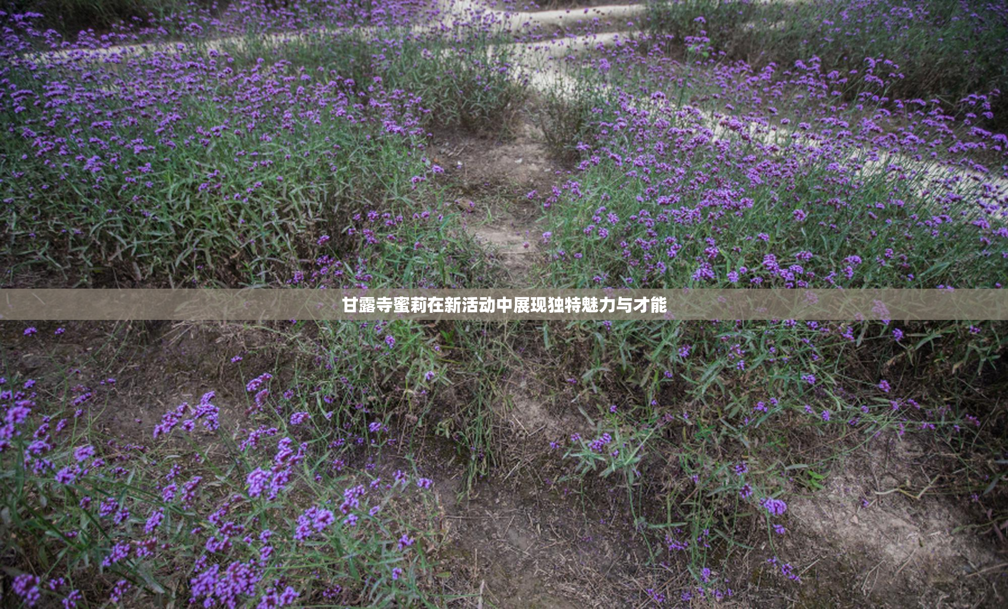 甘露寺蜜莉在新活动中展现独特魅力与才能